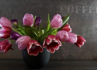 Ile wytrzymują sprężyny zawieszenia?