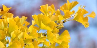 Jak ustawić wentylator z czujnikiem wilgotności?