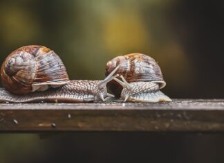 Jak sprawdzić czujnik chłodnicy?