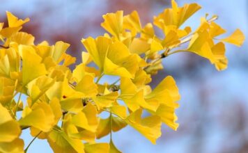 Jakie wentylator do obudowy 120mm? Jakie wentylator do obudowy 120mm?