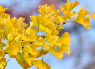 Jak ustawić wentylator aby wyciągał powietrze?